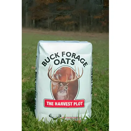 Buck Forage Harvest Plot Oats