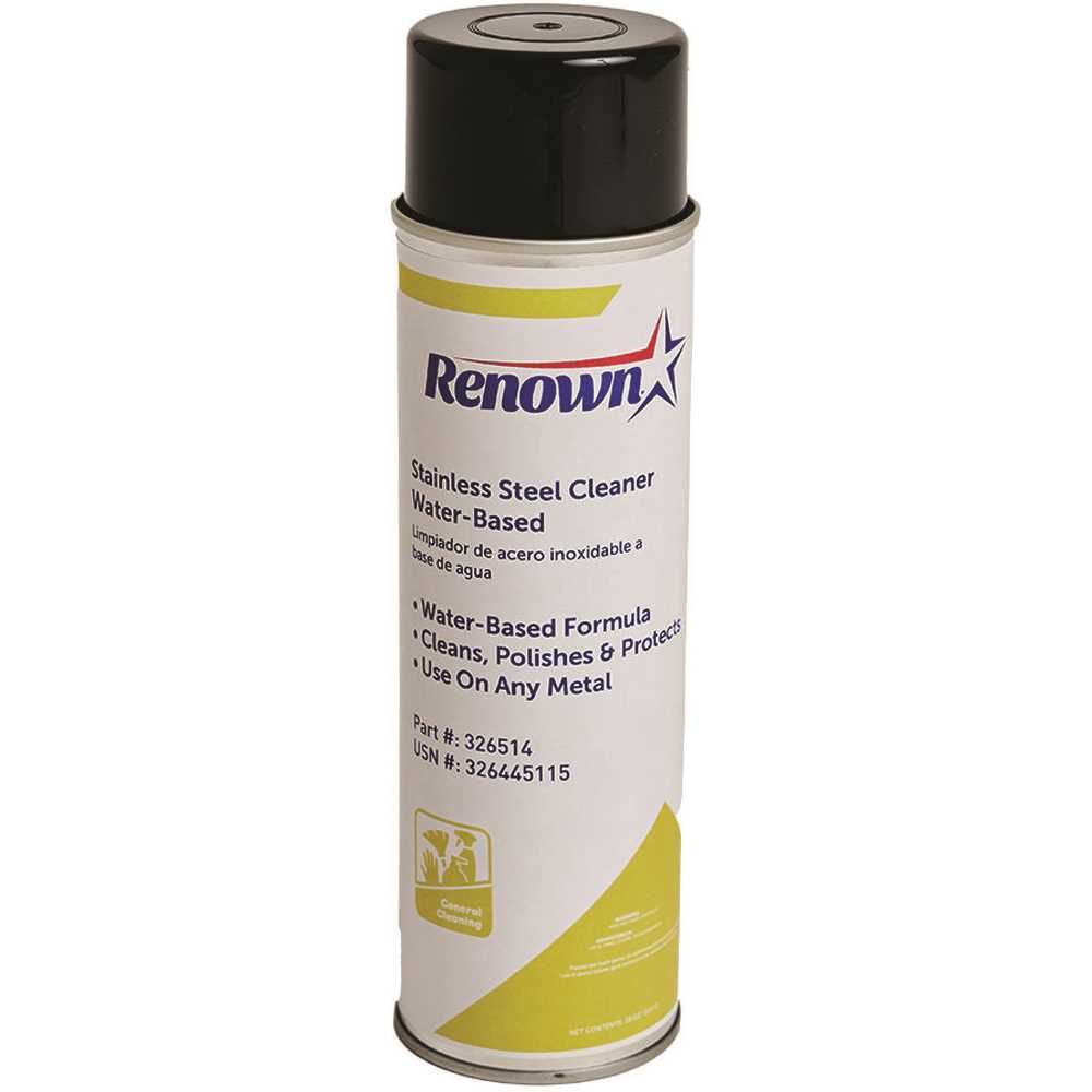 Renown REN043 Stainless Steel Cleaner Water Based Aerosol 18 oz. - pack of 12