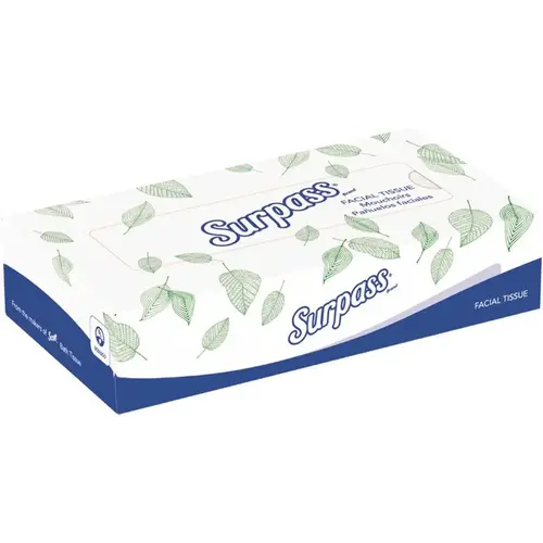 White Unscented 2-Ply Facial Tissue Flat Box (125 Tissues/Box, /Big Case) - pack of 60
