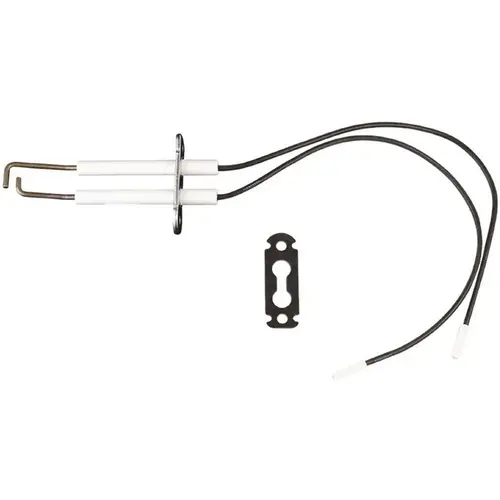 Ignition Electrode With Gasket7829798