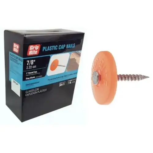 Nail - Plastic-Cap 12-Gauge 7/8" Ring-Shank - Electro-Galvanized pack of 250 Nail - Plastic-Cap 12-Gauge 7/8" Ring-Shank - Electro-Galvanized pack of 250