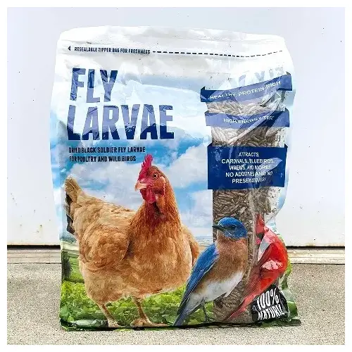 Black Soldier FLy Larvae - 5 lb Bag Black Soldier FLy Larvae - 5 lb Bag