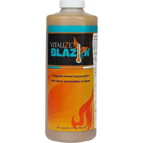 Vitalize Blazin - 32 fl oz Bottle