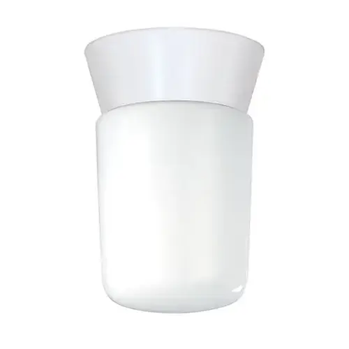 Outdoor Utility Ceiling Fixture 8" White Glass & White Finish