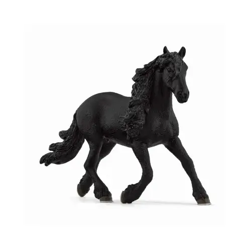 Friesian Stallion Friesian Stallion