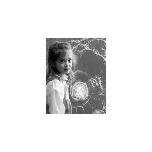 Llumar 48" x 100' Clear Safety and Security Window Film Llumar 48" x 100' Clear Safety and Security Window Film