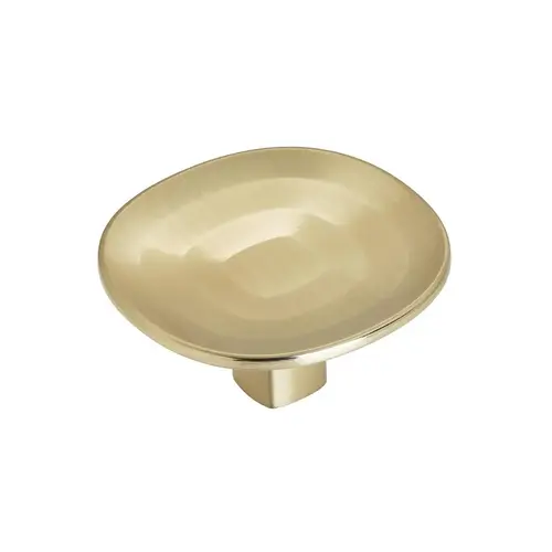 Concentric Cabinet Knob Golden Champagne Concentric Cabinet Knob Golden Champagne