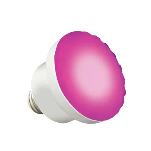 Bulb - Colorsplash Led Spa Rgbw Bulb - Colorsplash Led Spa Rgbw
