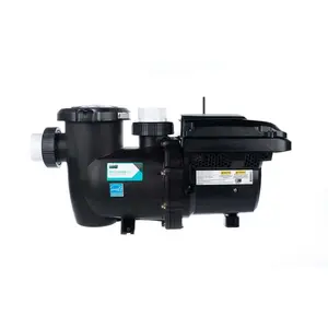 STA-RITE 013077 IntelliPro3 VSF Variable Speed Pump, 3 HP, 208-230 V, 50/60 Hz, with Touchscreen