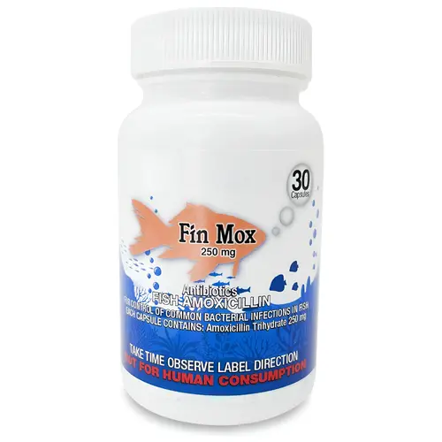 Fish Mox 250mg 30-Capsules