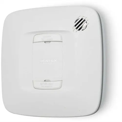 C Series Model Cr - Carbon Monoxide Alarm W/relay