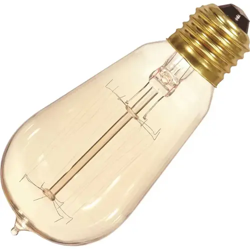 Vintage T-19 Bulb, 60 Watt, Cage, 120 Volt Vintage T-19 Bulb, 60 Watt, Cage, 120 Volt
