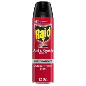 S C JOHNSON WAX 21612 Raid Roach & Ant Killer - 12 oz Aerosol Spray