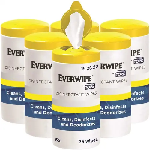 Disinfectant Wipe Cleans Disinfects And Deodorizes White