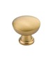 Satin Brass