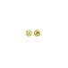 Bright Brass