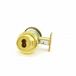 Bright Brass
