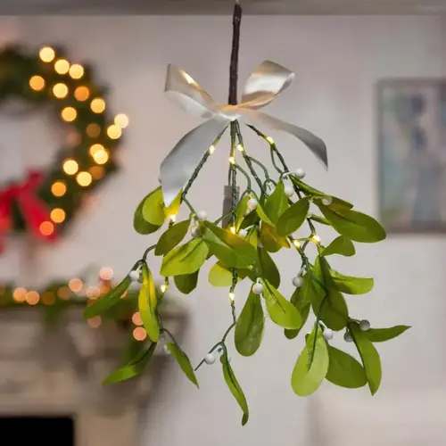Hanger Mistletoe Branch with Warm White LED Lights 12" Hanger Mistletoe Branch with Warm White LED Lights 12"