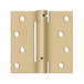 Brushed Brass