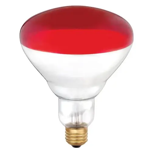 Incandescent Bulb 250 W R40 Heat Lamp E26 (Medium) Red Clear Incandescent Bulb 250 W R40 Heat Lamp E26 (Medium) Red Clear