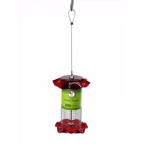 Bird Feeder Wild Bird 1 qt Acrylic/Stainless Steel Tube, Mesh/Screen Red