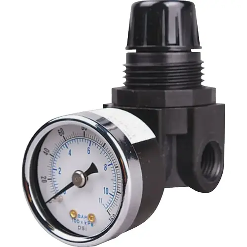 1/4 In. NPT 250 PSI Mini Pressure Regulator 1/4 In. NPT 250 PSI Mini Pressure Regulator