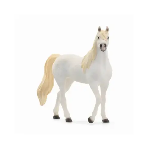 Arab Mare - pack of 5