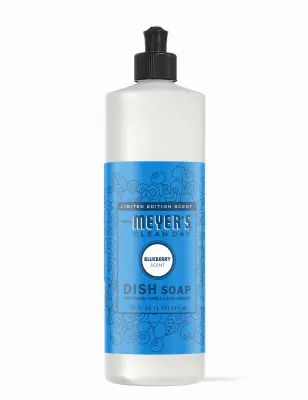 LIFESTYLE BRANDS Dish Soap Clean Day Blueberry Scent Liquid 16 oz 12122