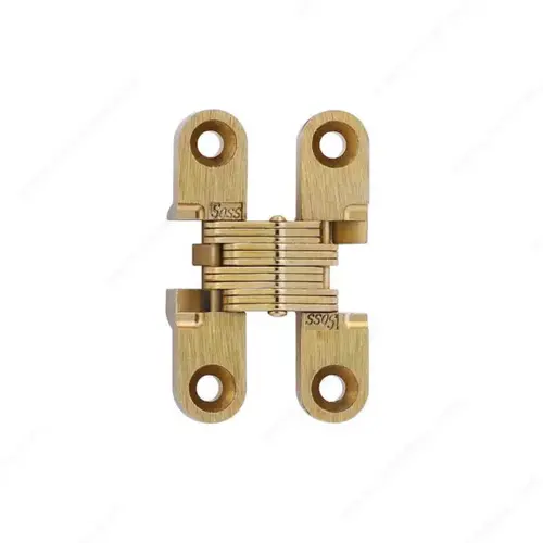 Concealed Steel Hinge - Model #101 Pair Satin Brass