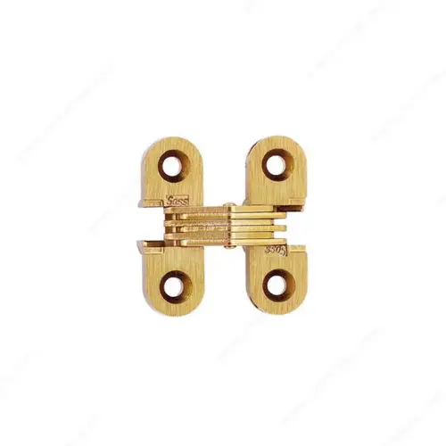 Concealed Steel Hinge - Model #103 Pair Satin Brass