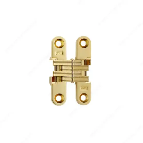 Concealed Steel Hinge - Model #204 Pair Brass