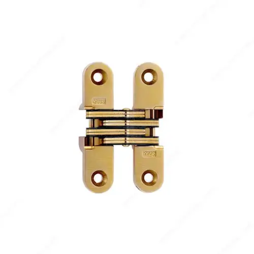 Concealed Steel Hinge - Model #208 Satin Brass