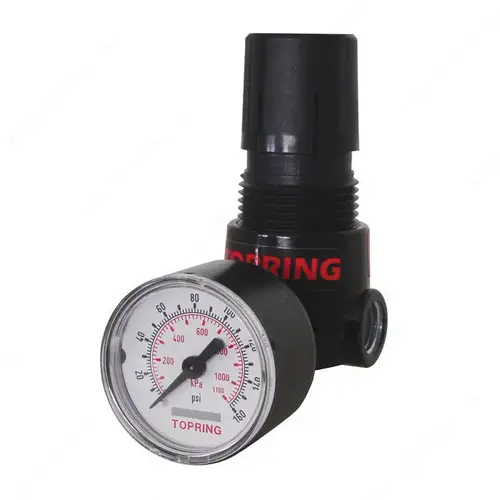 Piston Type Mini Regulator - 2-125 PSI, 1/4" NPT