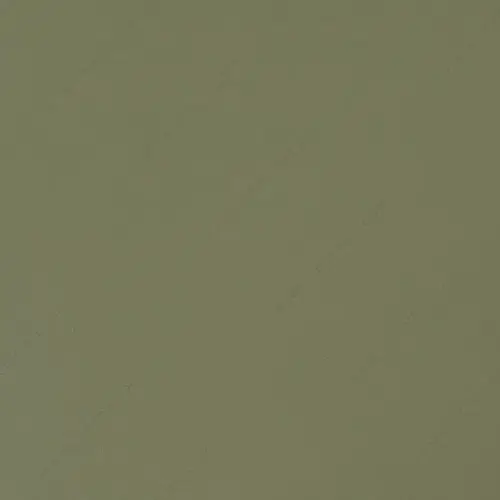Laminate - Fern S583 Laminate - Fern S583