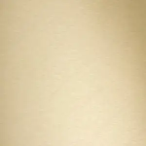 Richelieu Hardware DW6254 Decorative Metal Sheet - Brushed Brass 6254