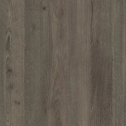 Studio Panel - Fresno Rosario 08U