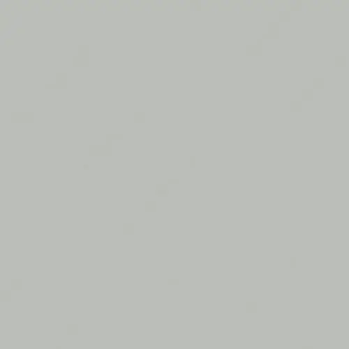 Gloss Elegant Panel - Light Gray 25019