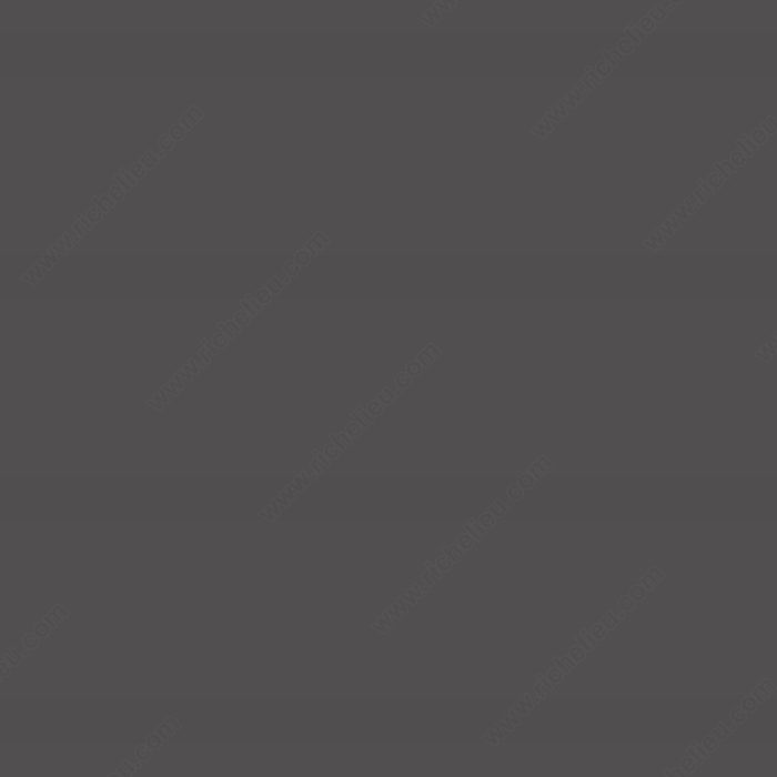 Richelieu Hardware G220990124 Gloss Elegant  Edgebanding - Antracita 22099