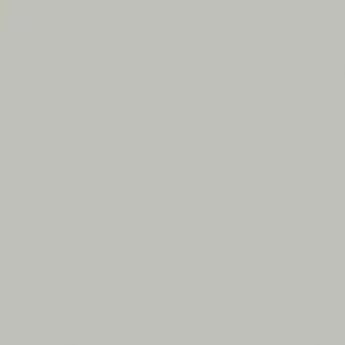 Brillant  Panel - Pale Gray 650 (Gris Nube)