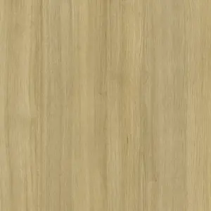 Tafisa WKL58501824 Edgebanding - Rhapsody L585