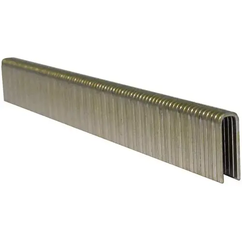 19 Gauge x 3/16" Crown x 1/2"L Staple, - 5000/Box 19 Gauge x 3/16" Crown x 1/2"L Staple, - 5000/Box