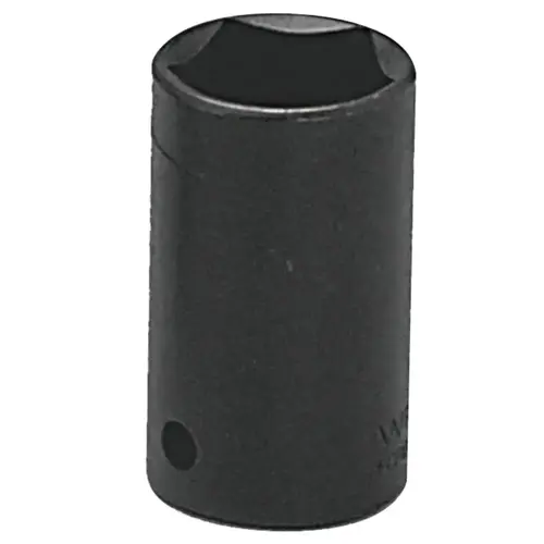 5 Point Black Penta Socket, 1/2 in Drive, Black Oxide