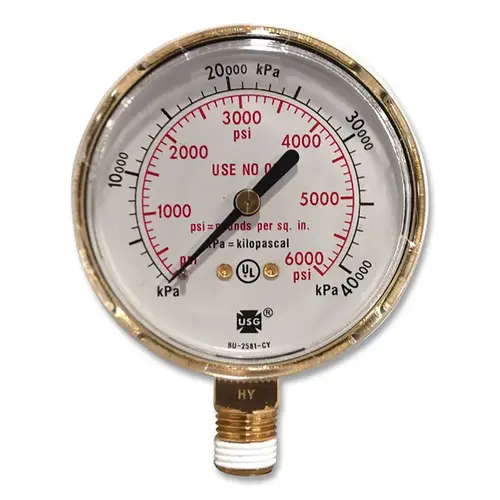 Regulator Gauge, Brass, 2-1/2 in dia, 400 psig