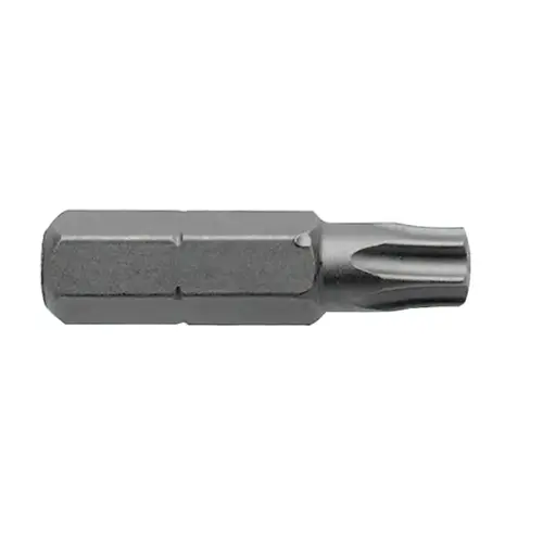 Hex Insert Bits, 1/4 in Drive, Torx T20