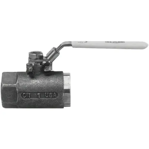 Ball Valves, 1/4 in (NPT) Inlet, Female/Female, Stainless Steel
