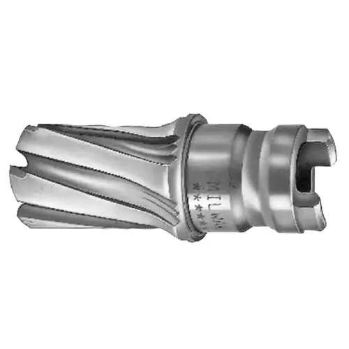Milwaukee 49572002 2 INCH HAWG CUTTER Buy Now
