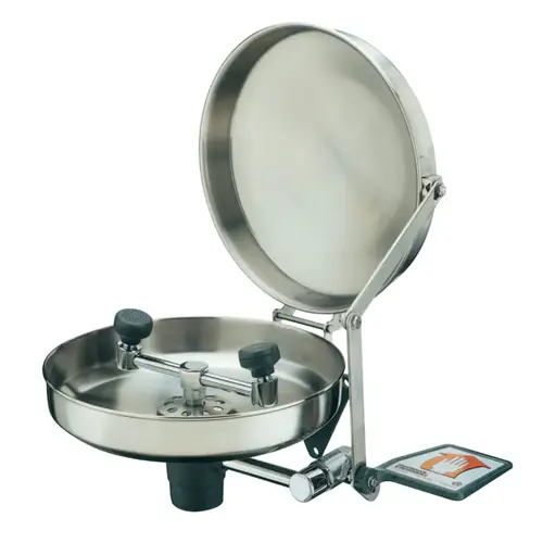 Wall Mounted Eye Washes, 11 1/2 in, Stainless Steel with Cover Wall Mounted Eye Washes, 11 1/2 in, Stainless Steel with Cover