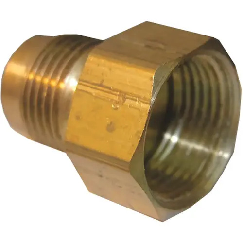5/8 In. M x 3/4 In. FPT Brass Flare Adapter