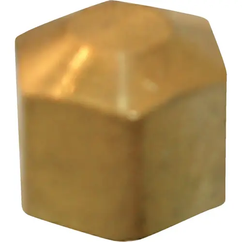 1/4 In. Brass Compression Cap 1/4 In. Brass Compression Cap