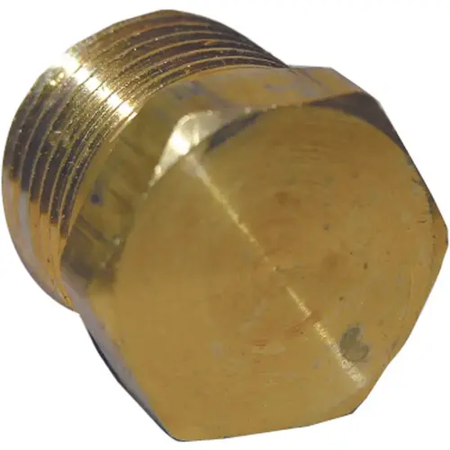 1/4 In. MPT Brass Hex Head Plug 1/4 In. MPT Brass Hex Head Plug